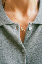 Load image into Gallery viewer, Horse Necklace - Brilliant
