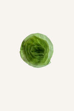 Load image into Gallery viewer, Carrie Flower Rosette - Apple green

